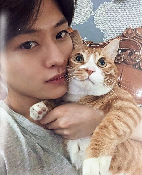 собака бан чана