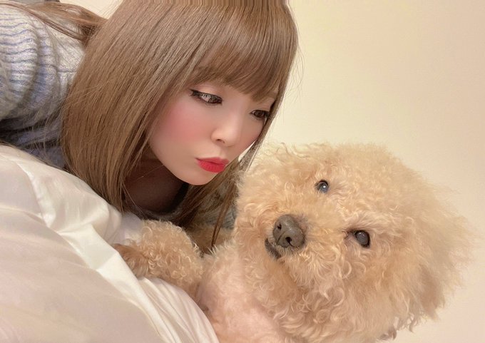 イチャイチャしてる&hearts;︎ https://t.co/02g78O9e3I