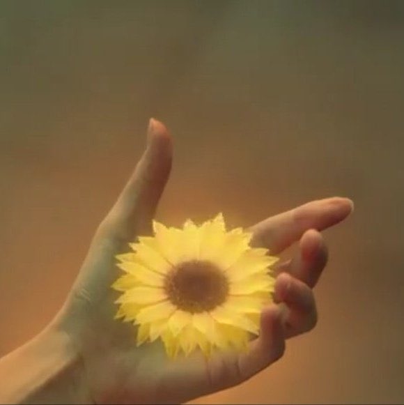 soybeen_'s tweet photo. 🌻BinJin Bakery🌻
can’t get sunflowers out of my head after seeing these visuals ✨well at least now i can eat cake while daydreaming about sonflowers 🥲
#SmartMadeBinJinInevitable
#SmartBinJin
#BinJinForSmartSignature https://t.co/M3XxOcx34e