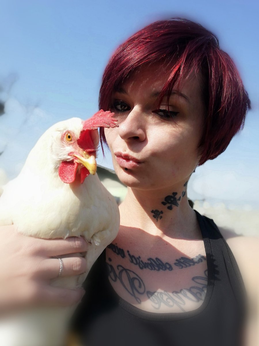 Adopte1P's tweet photo. Selfie entre poulette 😂
Nuggets fait partie du staff
SI Si pour de vrai ! ❤️ https://t.co/llD41XIwIv