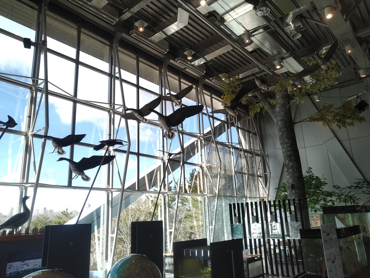 スリーエム仙台市科学館 スリーエム仙台市科学館