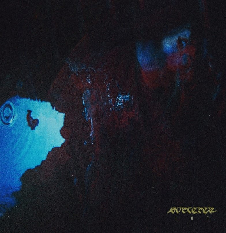 DLVRNCErecords's tweet photo. I'm really glad to announced that I will release the first EP of the incredible @sorcerer_hc from Paris. Only 100 vinyles available. Preorders starts next month.
Artwork by Marie Mauve 
Layout &amp; Design by @dichael_grey https://t.co/8r6ZUMxdO2
