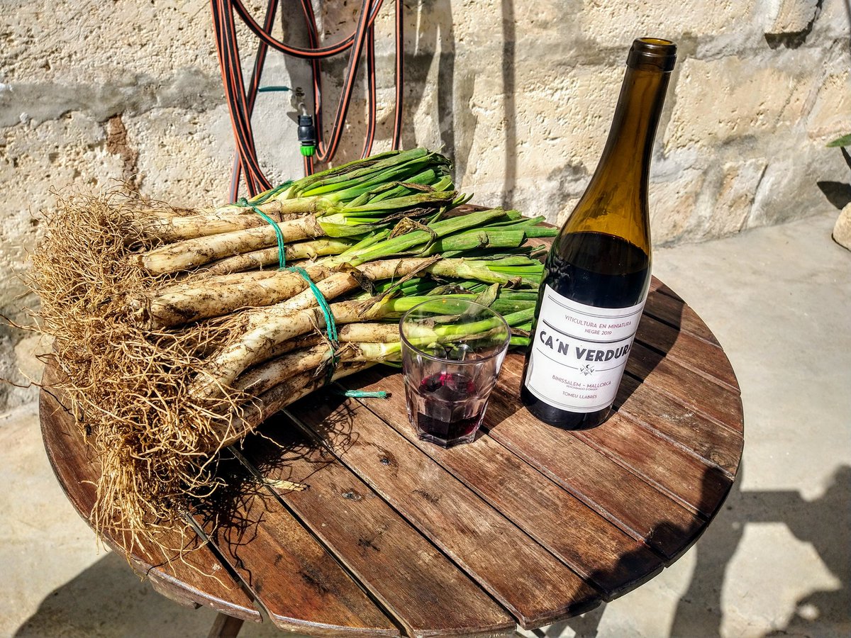 Gabriel24497936's tweet photo. Salut! #calcots https://t.co/hwe0ezVHrg