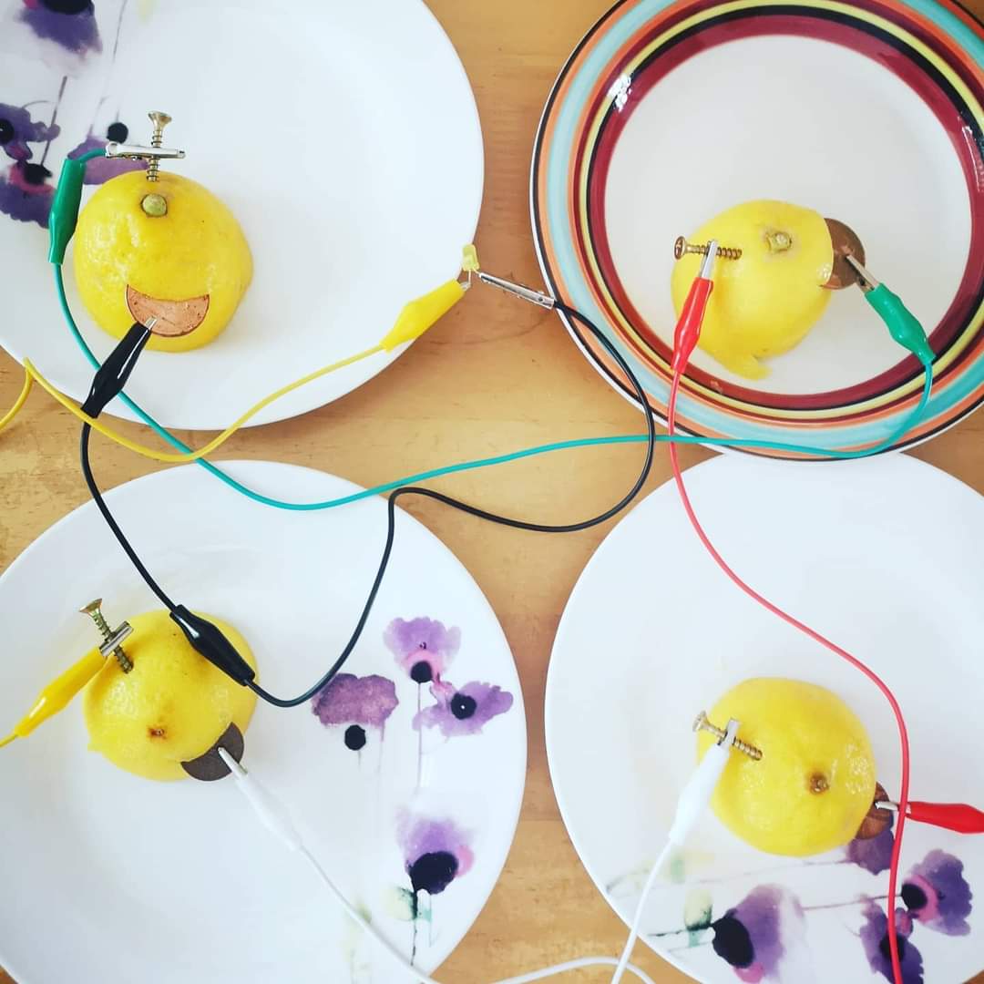 NIFamilyBlog's tweet photo. Make a Lemon Battery ๐
Today we took part in the @niscifest using the lemon battery kit from @science_starz ๐จโ๐ฌ
The experiment was a success and was great fun using the video tutorial ๐
#science #kidsfun #experiment #lemonbattery #NISF21 https://t.co/jaH7p1Vn6M