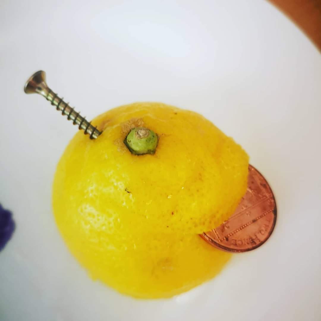 NIFamilyBlog's tweet photo. Make a Lemon Battery ๐
Today we took part in the @niscifest using the lemon battery kit from @science_starz ๐จโ๐ฌ
The experiment was a success and was great fun using the video tutorial ๐
#science #kidsfun #experiment #lemonbattery #NISF21 https://t.co/jaH7p1Vn6M