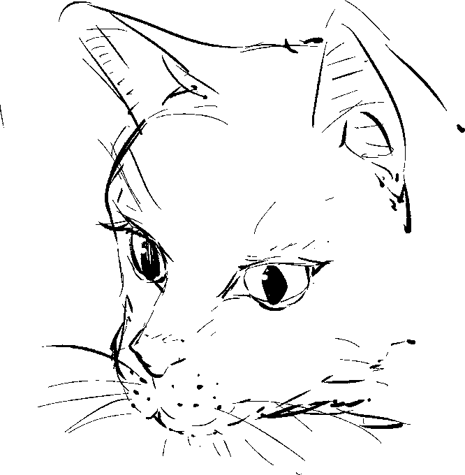 最近猫とても描いてる 