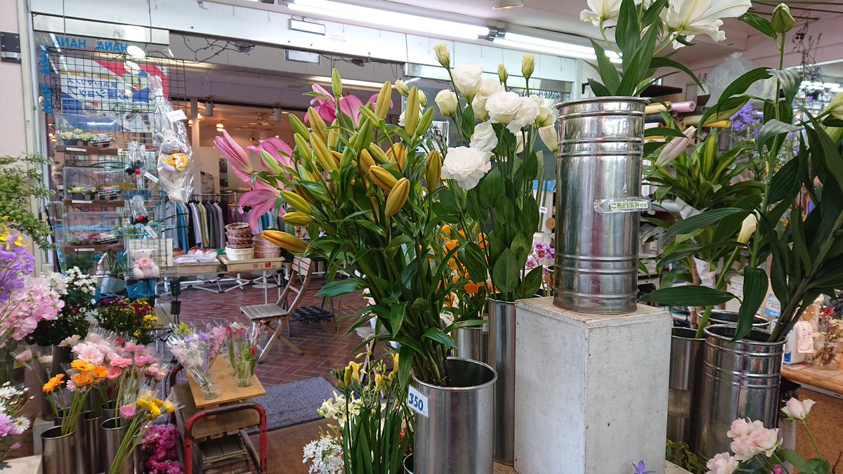 高矢肇 あざみ野 高矢で検索 近くにある花屋さんが3月いっぱいで閉店に 泣 悲しいです あざみ野 花屋 ハナハナ リーズナブル 優しいお店 T Co Xpfmrqezge Twitter