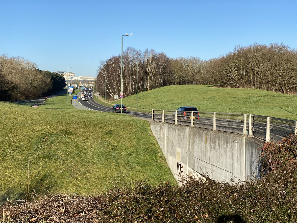 richard crabtree tweet media