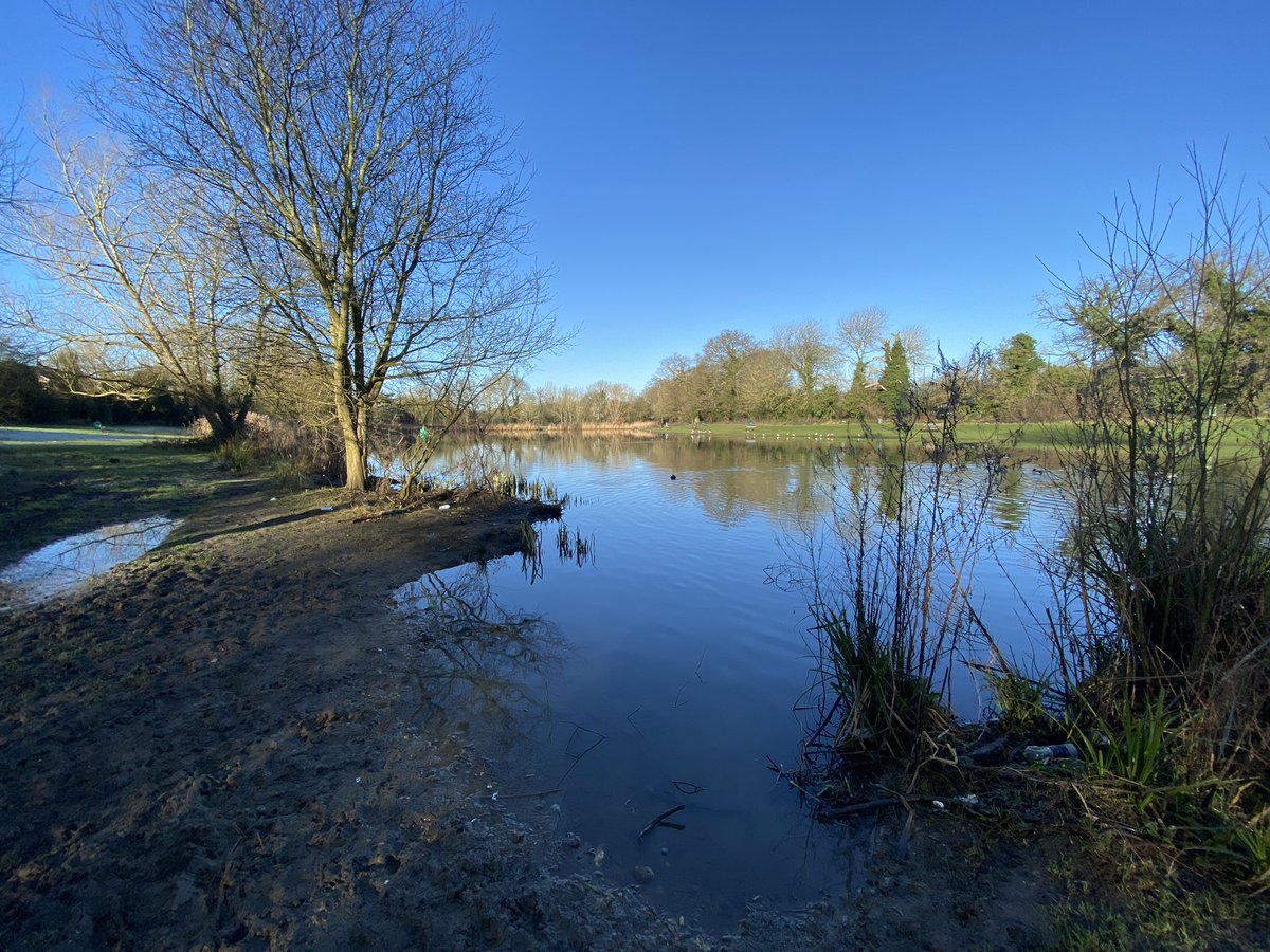 richard crabtree tweet media