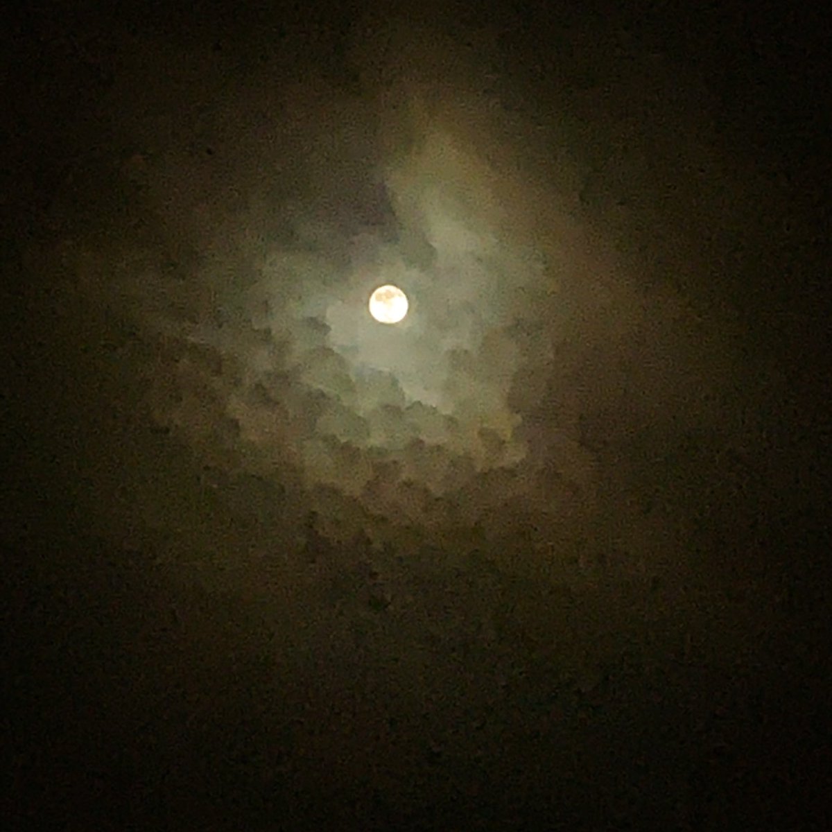 BipolarPhotos's tweet photo. Although few witness its true glory
The night, like us with mental illness, stays steady in its course. No matter what the darkness brings. https://t.co/Pzhrcfoix2