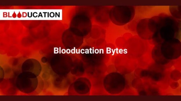 blooducation's tweet photo. Coming soon! Helen and Suzy talk about haemolysis.

If you want to listen to our previously released bytes you can find them on the main podcast platforms as well as on our website

https://t.co/RHZfZzB4xB

#blooducation #FOAMed https://t.co/3HLcawB44j