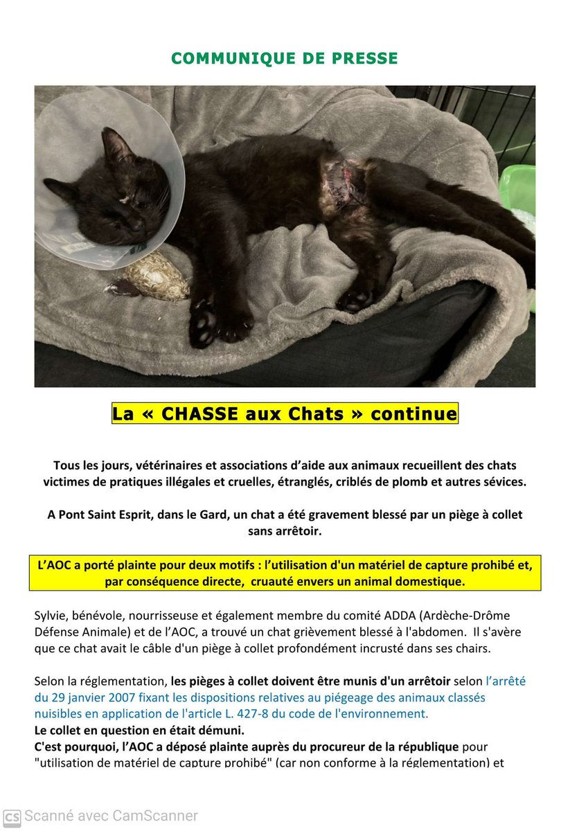 Chorges : des chats errants blessés par des pièges à collet, une