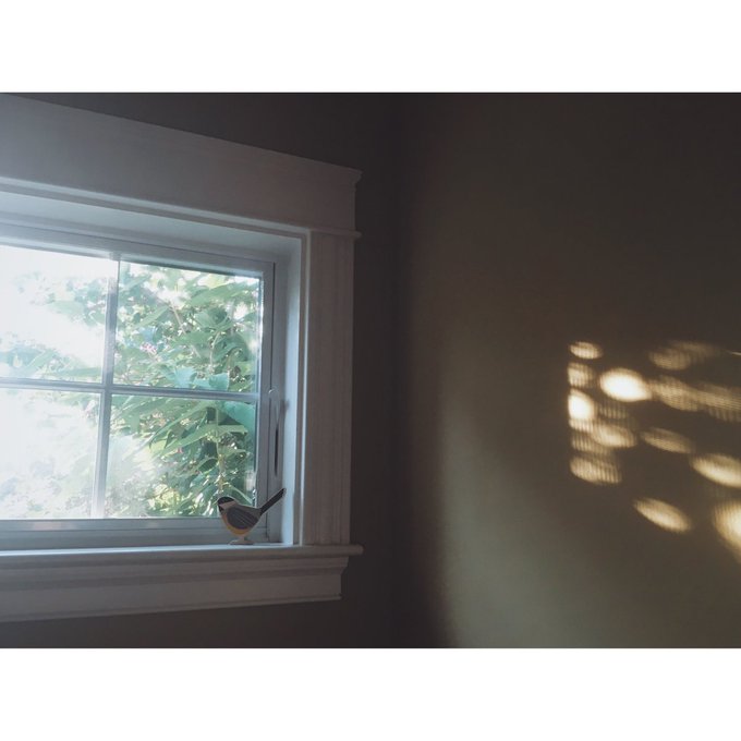 more records tweet media