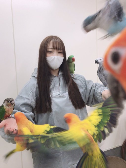 コスプレイヤー西井綾音のTwitter画像20