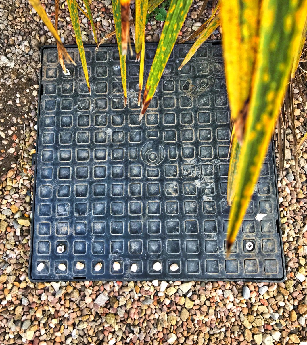 Simon Sublime tweet media