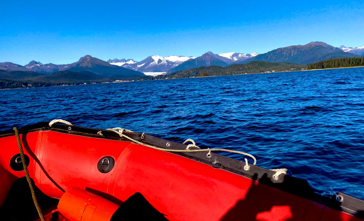 svshamrock's tweet photo. Sailing Alaska offers private charter vacations. Whale watching, glaciers and bear viewing can all be included in your customized Alaskan cruise.  Booking for summer 2021 now.  #travel #sailing #cruise #Alaska #whales #adventure #sail https://t.co/anrSasV436