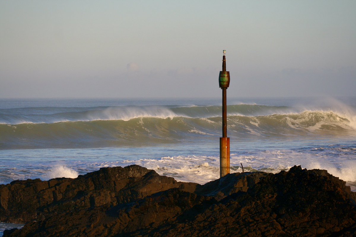 in on or by the sea tweet media