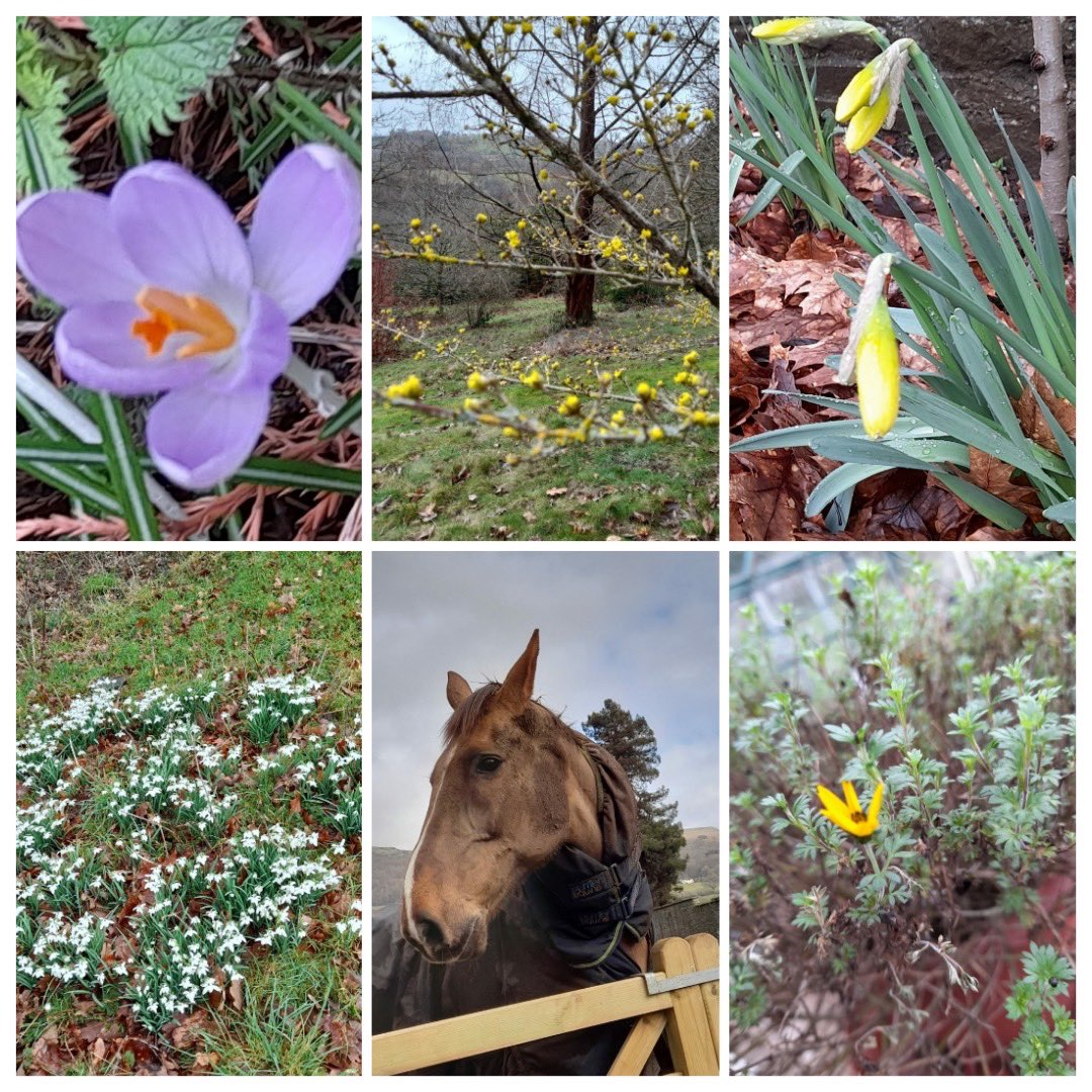 Signs of Spring photography competition winners ⭐️⭐️☀️
EYFS/KS1: 1st Kiya Class 2, 2nd Nancy Class 1, 3rd Vinnie Class 1
KS2: 1st Gen Class 6, 2nd James Class 3, 3rd Rubie Class 5 and Alicia Class 4