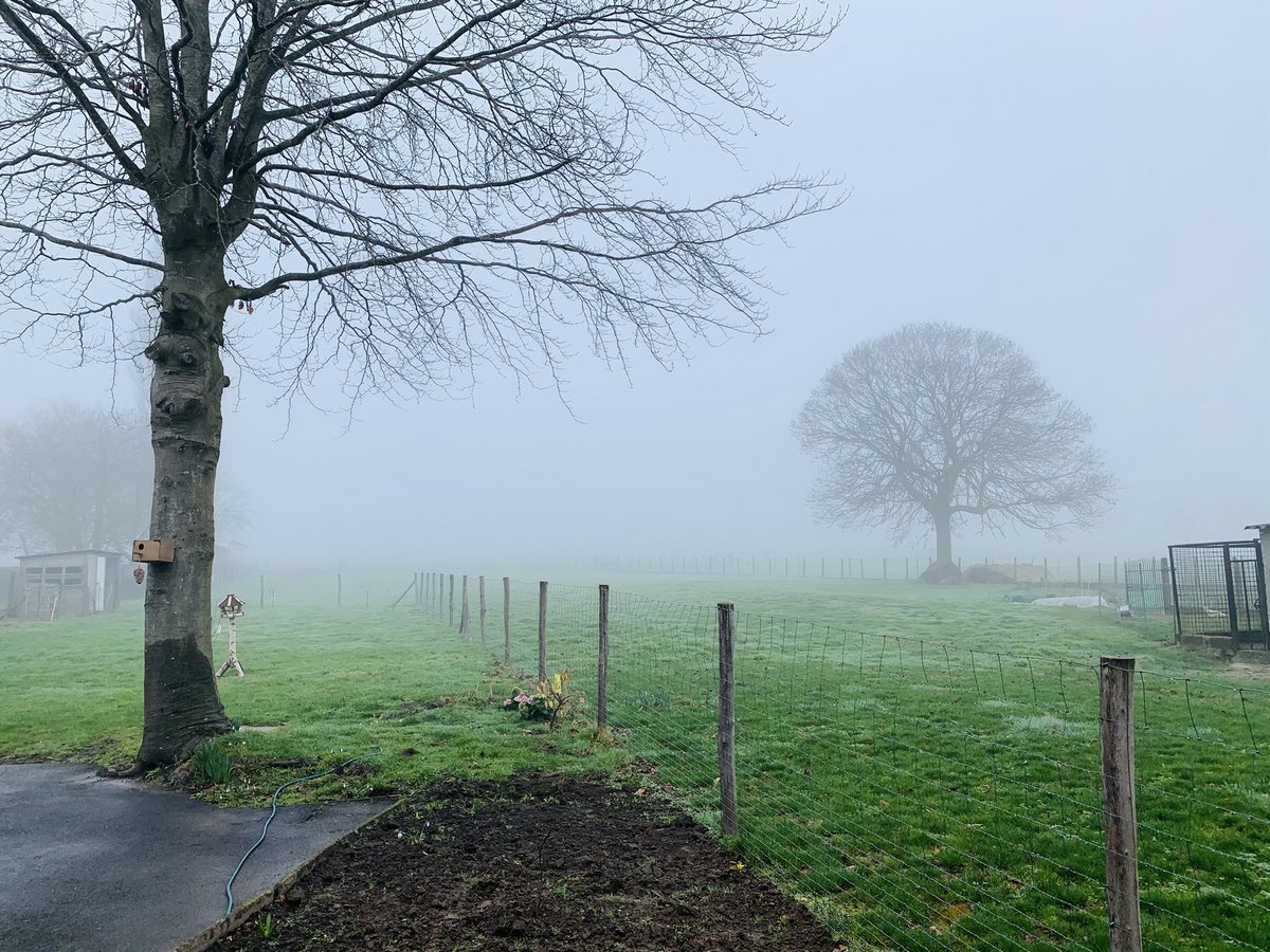 #vrtweer  <a href="/frankdeboosere/">Frank Deboosere</a>  <a href="/sabinehagedoren/">Sabine Hagedoren</a>  <a href="/meteoBram/">Bram Verbruggen</a>   Zottegem 27 februari 2021 om 10 uur hebben we een temperatuur van 3 graden en nog steeds mistig , rond 8 uur was de zichtbaarheid ongeveer 15 meter