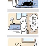 常に飼い主さんの隣にいたい？飼い主さんの行動が気になりすぎる猫の絵日記!