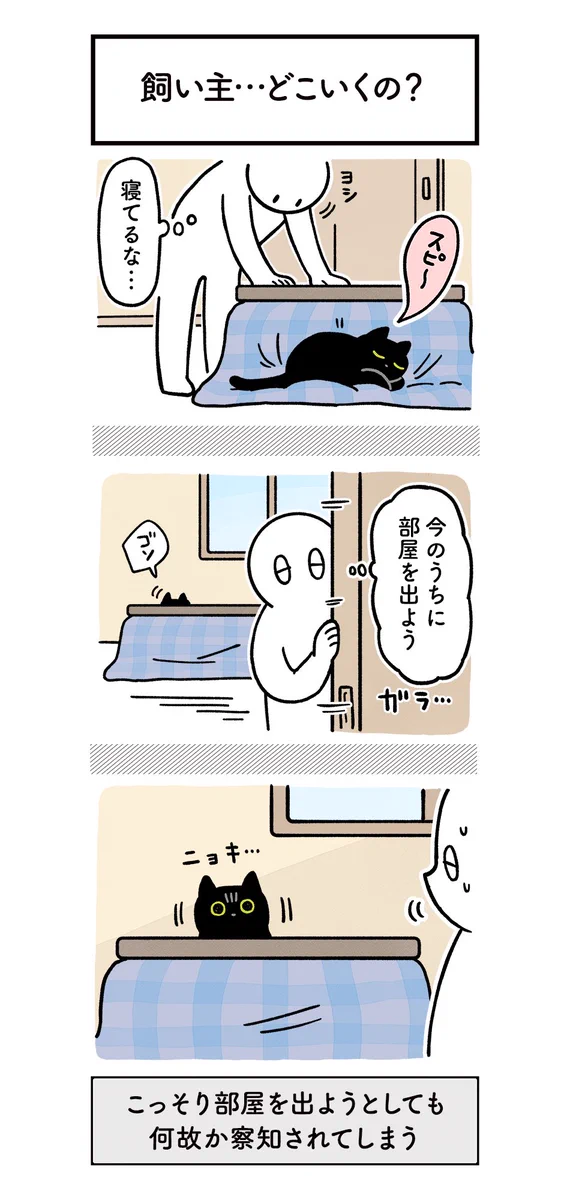 常に飼い主さんの隣にいたい？飼い主さんの行動が気になりすぎる猫の絵日記！