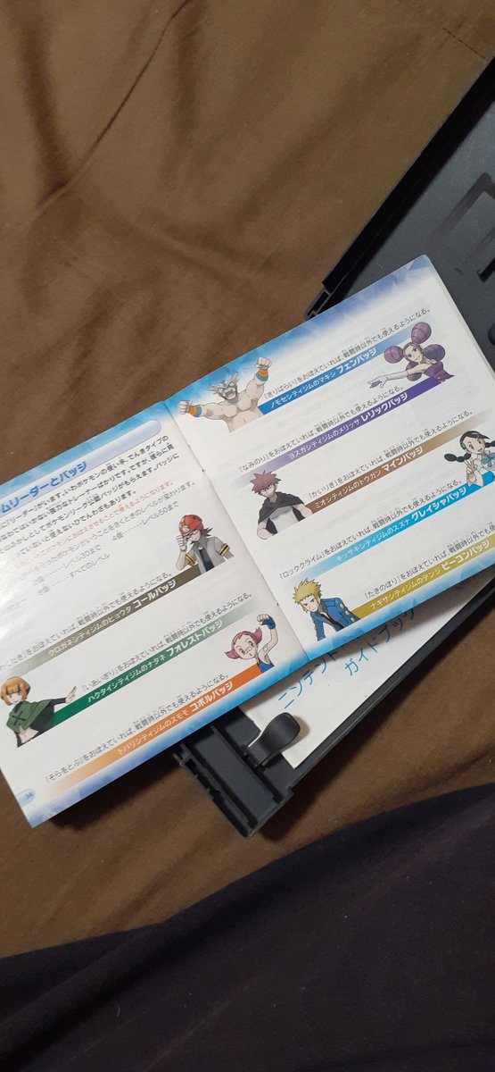 ダイパの思い出 ダイパの思い出