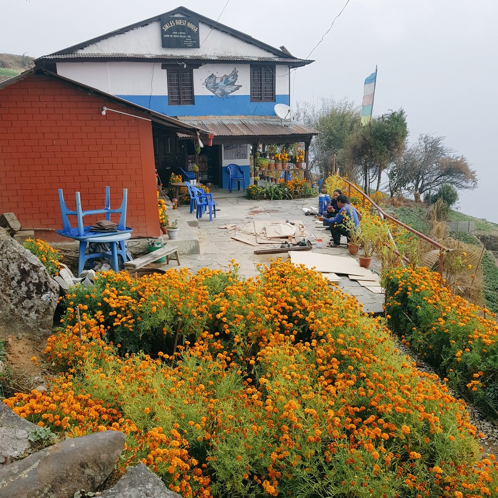 MrBikashGhimire's tweet photo. I am here for 3 more days !

#sikles #madiruralmunicipality #kaski #conservation #conservationcamps #researchtrips #researchtales https://t.co/c9nP6xb20Z