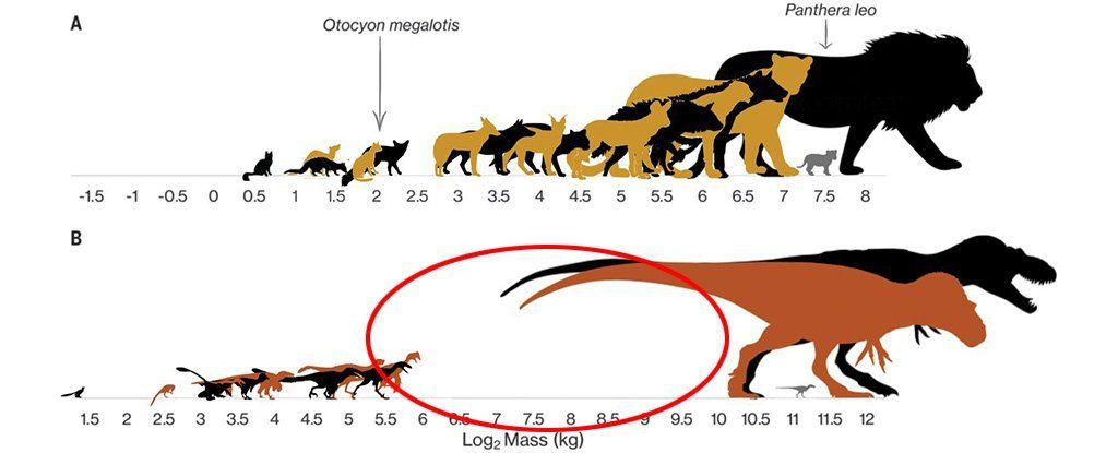 A team of US scientists has demonstrated that the offspring of huge carnivorous dinosaurs like Tyrannosaurus rex, who grew from the size of house cats to towering monsters, reshaped their ecosystems by outcompeting smaller rival species buff.ly/3bF04QK