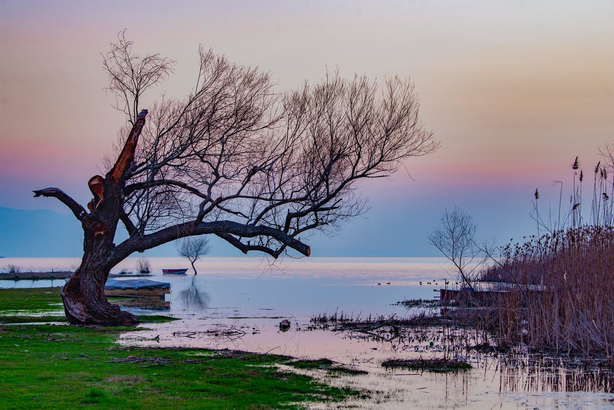 Akçalarda bahara yolculuk başladı 26.02.2021