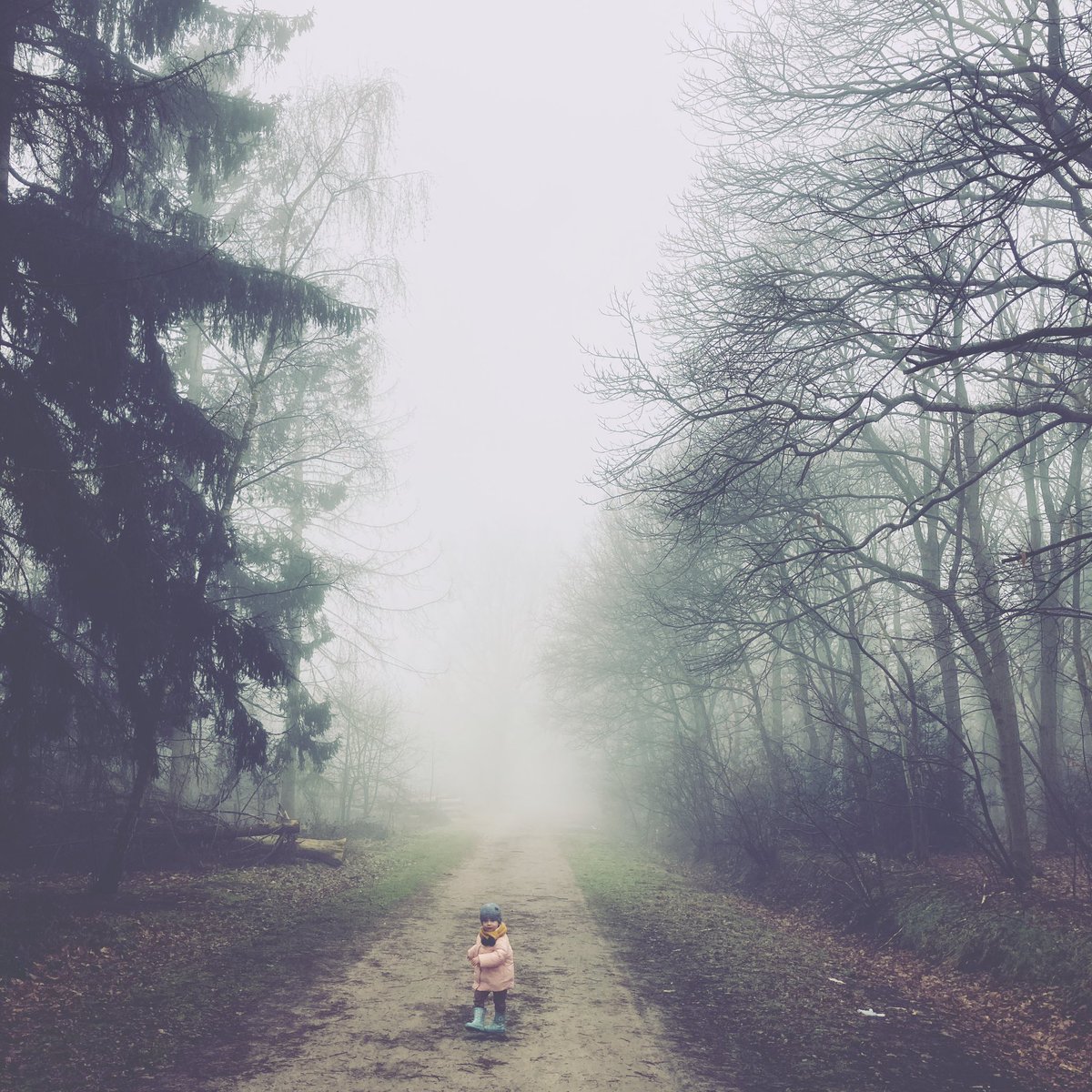 EllenJansegers's tweet photo. Goeiemorgen! #ochtendwandeling #stiltezoeker #introvert #introvertleven #introvertmom https://t.co/i74rw5kMgq