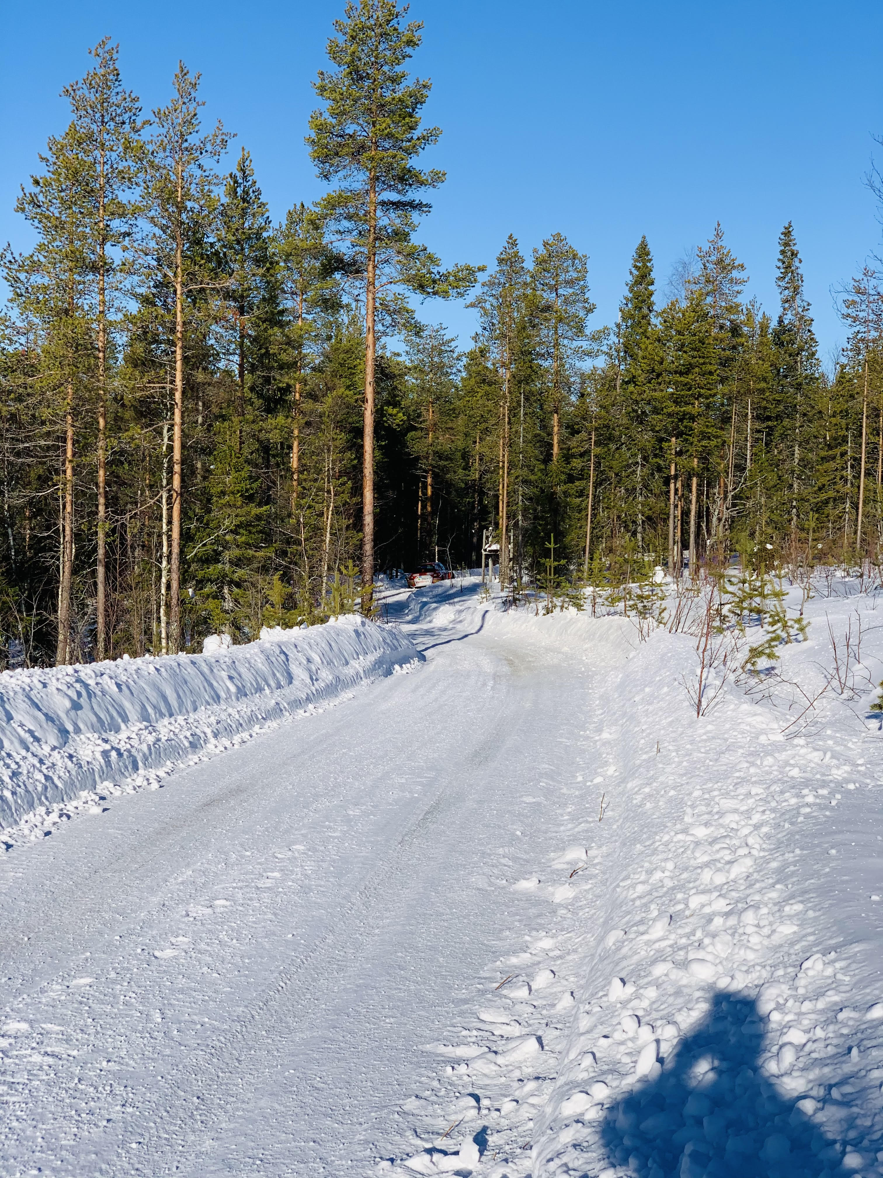 WRC: Arctic Rally Finland - Powered by CapitalBox [26-28 Febrero] - Página 5 EvOaApKXYAIPVL4?format=jpg&name=4096x4096