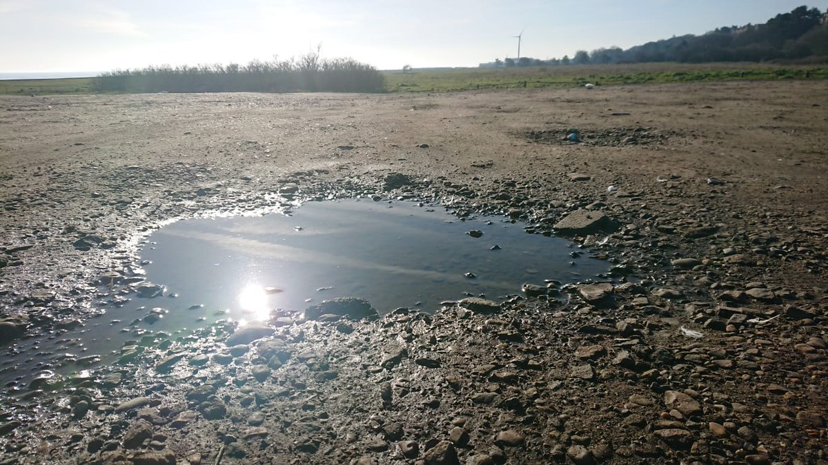 saveoutdoored's tweet photo. It's a beautiful day out there for a bit of puddle splashing!

Have a go at the #MuddyPuddleChallenge to support our campaign to #SaveOutdoorEd.

Don't forget to sign and share our petition, and tag your friends!

https://t.co/SxBjvOded9 https://t.co/O7E4klUIHX