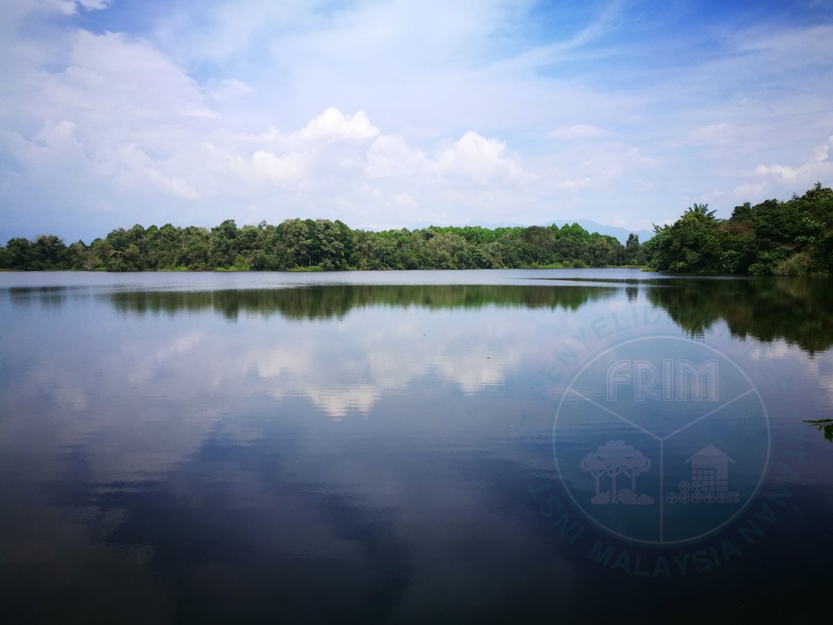 FRIMKepong's tweet photo. Saksikanlah rancangan ‘Stay Hungry, Stay Foolish’ #一门深入 di #ASTROAEC ttg usaha penghutanan semula (reforestation) oleh @FRIMKepong di #SPFBido
📆28 Feb '21 (Ahad)
⏰9pm
📺Saluran: AEC HD (Saluran 306) & Astro AEC (Saluran 346)
@100jutapokok https://t.co/SBPUF4LYlH