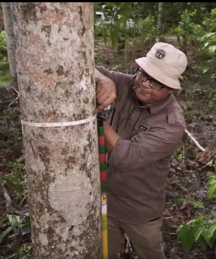 FRIMKepong's tweet photo. Saksikanlah rancangan ‘Stay Hungry, Stay Foolish’ #一门深入 di #ASTROAEC ttg usaha penghutanan semula (reforestation) oleh @FRIMKepong di #SPFBido
📆28 Feb '21 (Ahad)
⏰9pm
📺Saluran: AEC HD (Saluran 306) & Astro AEC (Saluran 346)
@100jutapokok https://t.co/SBPUF4LYlH