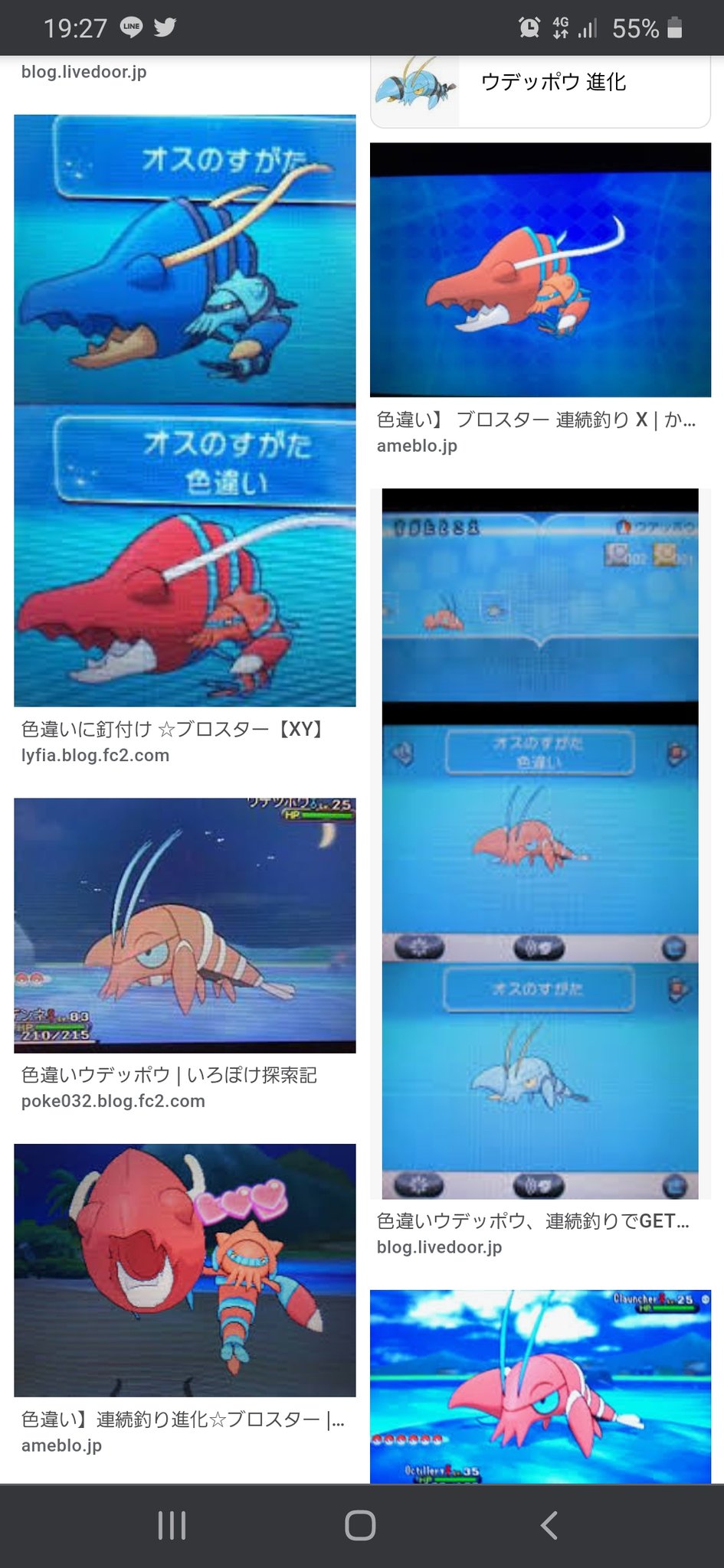 パルカッチョ ウデッポウもブロスターも色違いが茹でた後やーかわいいー パルカッチョ ウデッポウもブロスターも色違いが茹でた後やーかわいいー