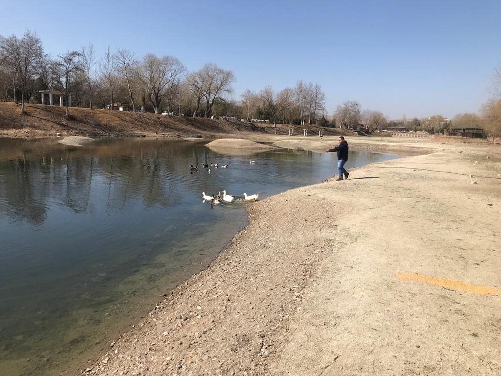 kirikkalebld71's tweet photo. Can dostlarımız emin ellerde.

#sokakhayvanlarinin nin Beslenme noktaları ile can dostlarımızı yalnız bırakmıyoruz.🐕🐈🐾 https://t.co/MYC6Gm4VK7