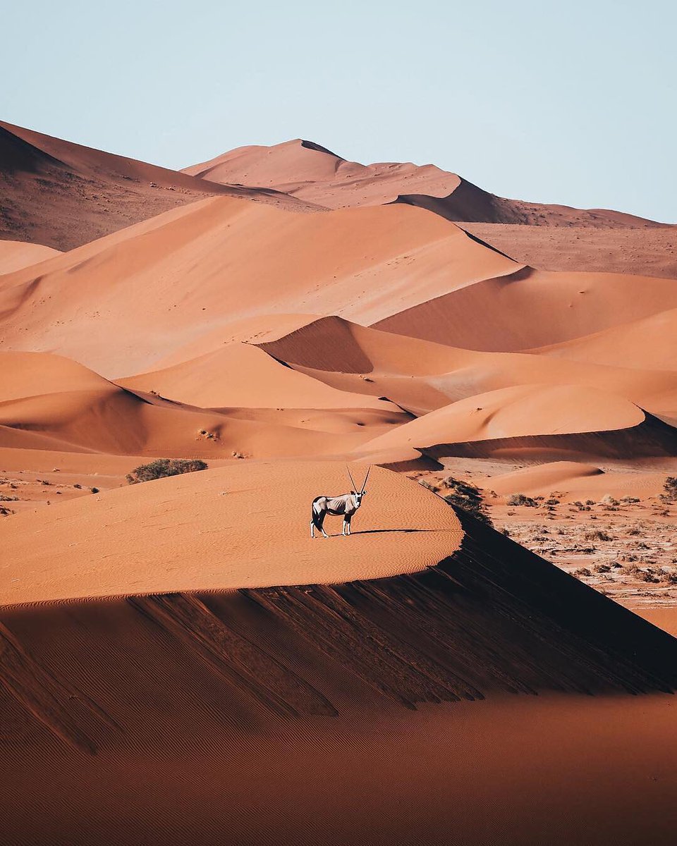 JavalavaTours's tweet image. 📍 #SossusvleiDesert #Namibia 🇳🇦 #EndlessHorizons #wanderlustXL

📸 pie_aerts