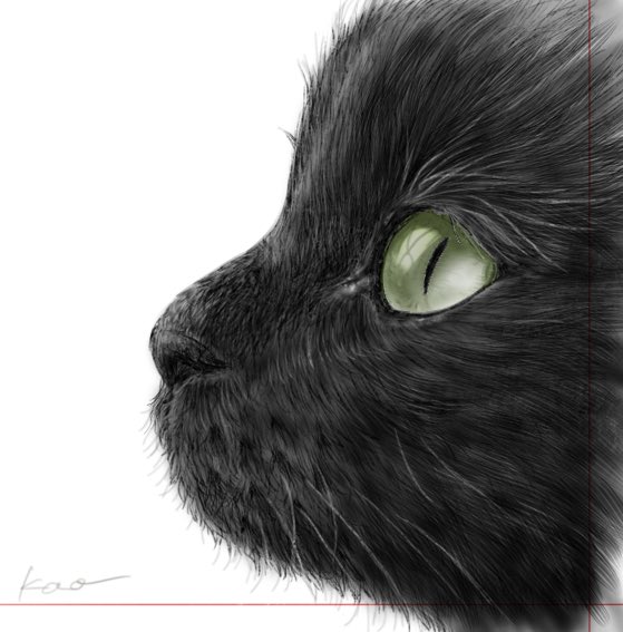 さて誰でしょうくろねこのtwitterイラスト検索結果 さて誰でしょうくろねこのtwitterイラスト検索結果