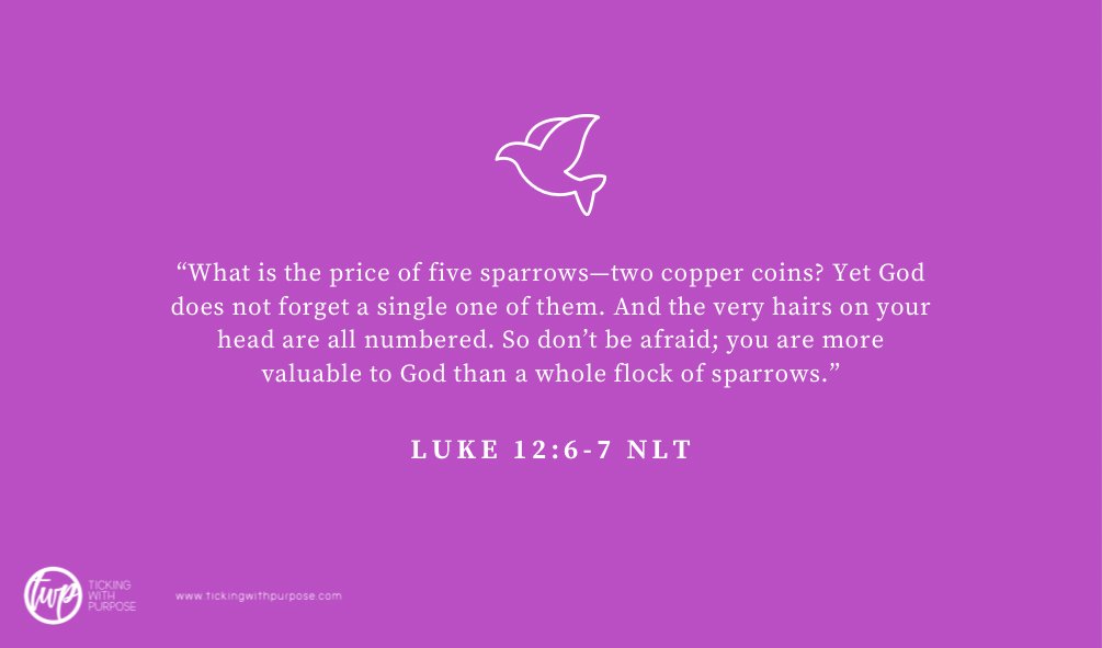 Twithpurpose's tweet photo. Day 27. #scripturechallenge #tickingwithpurpose #love #faith #postoftheday #positivity #everlastinglove https://t.co/mB8JaAjoig