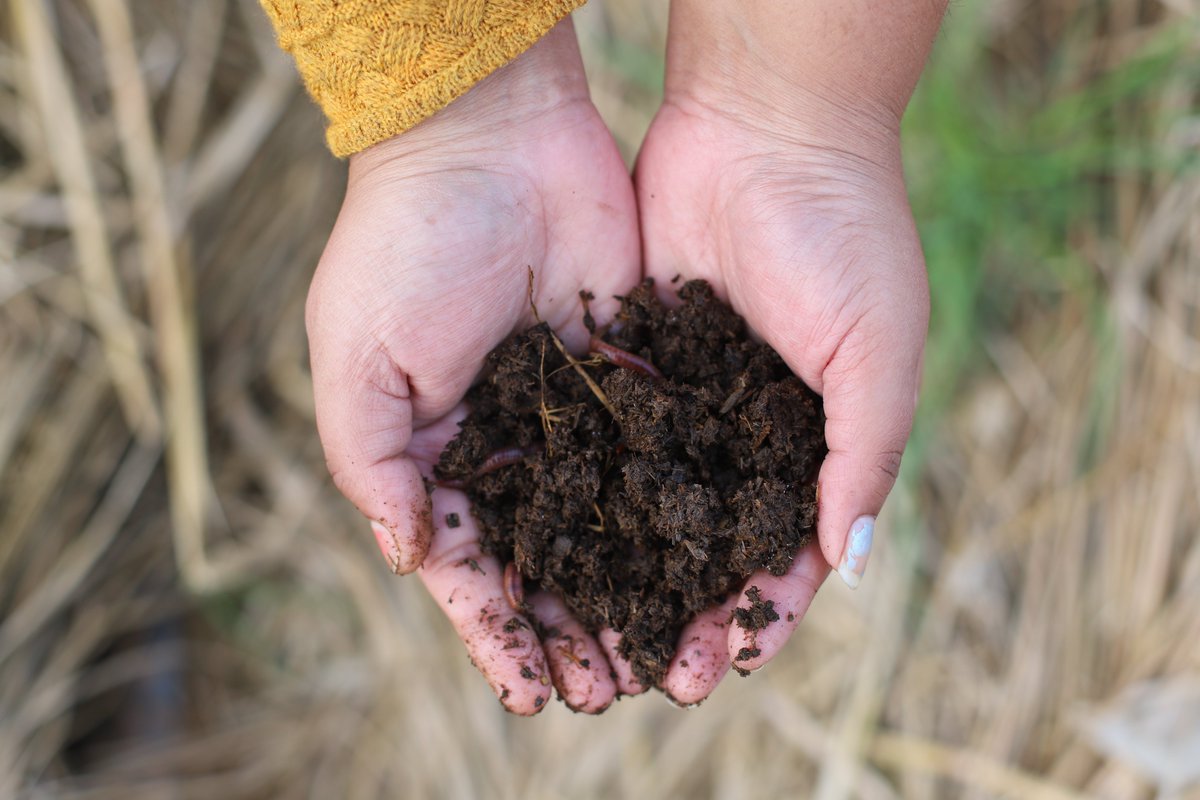 We are excited to introduce the Kikaboni Living Farms! Nestled in rural Faridabad, the farm oversees the Aravali! We have started the production of vermicompost! We have also set up a demonstration of organic farming! Visit us to know more!
#kikaboni
#organicfarming