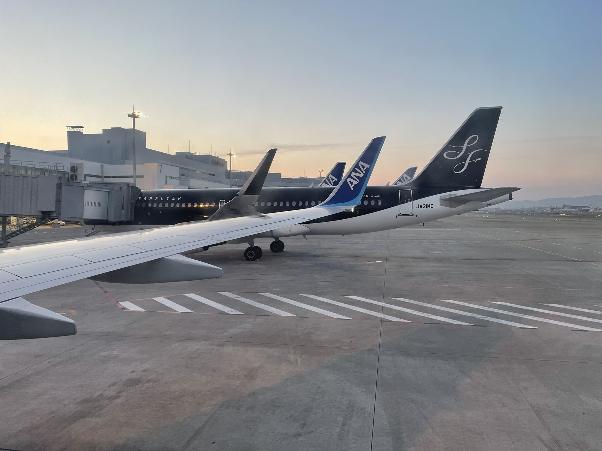 Fuk Base Airline 綺麗な朝日とスターフライヤー スタフラ15周年 スターフライヤー 福岡空港 T Co Hk19xr5i8c Twitter