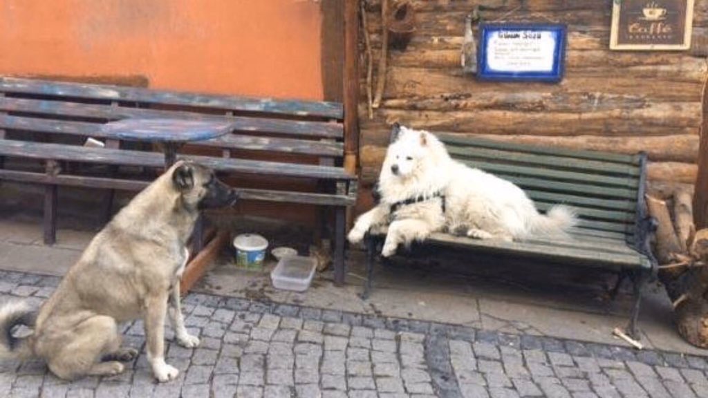 illegalljesse's tweet image. 