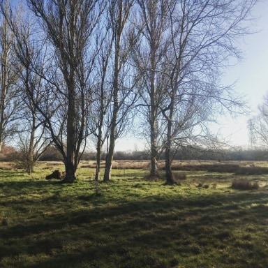 A walk on a sunny day is the perfect way to keep healthy and stay positive. Do whatever suits you most, we'll be back to Jiu Jitsu soon enough.
Don't forget our online social on Tuesday at 8pm. #positivevibes #jiujitsulifestyle #jiujitsuforeveryone #sunnydays #mentalhealth