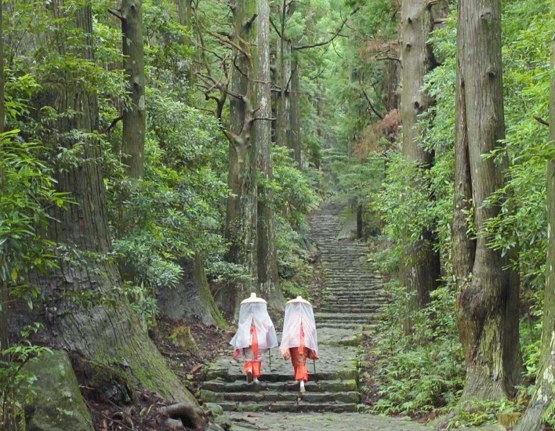 JapanTravel's tweet photo. For this weekend’s #47prefectureproject we’re headed to #Wakayama, which is often regarded as the spiritual heartland of #Japan - it's famous for the Kumano Kodo pilgrimage route, the holy mountain Koyasan, and more.
Discover Wakayama here: https://t.co/1OrgO0Cmeu #JapanTravel https://t.co/xbMfLCVLSD