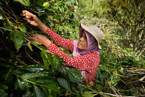 katieAL's tweet photo. Regenerative Agri Org PUR Project seek a China Sustainable SupplyChain Auditor based Guangdong with experience in sustainability auditing (social, environmental). Assessments mainly of industrial facilities. About the role: https://t.co/jsFzhqnnc2
https://t.co/Bjxr0wVvza https://t.co/2zWlWPBL7n
