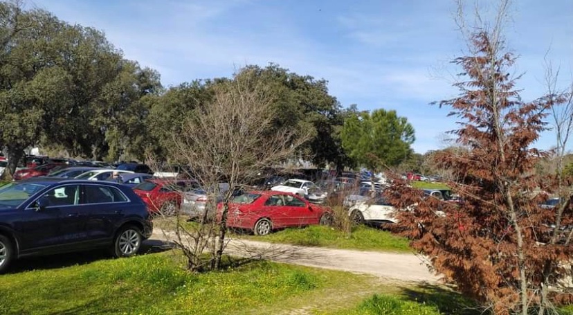avelpardo's tweet photo. 12:25 de la mañana y ya está el monte lleno de coches. Nos cargamos el monte señores.
Hoy alguno acabamos con un coche aparcado dentro de casa.
¿Hasta cuándo?
@AlmeidaPP_ @MADRID @JMDFuencarral @Jrcramirez @guardiacivil @policiademadrid @policia @PatrimNacional @mitecogob https://t.co/LWgavpLGL0