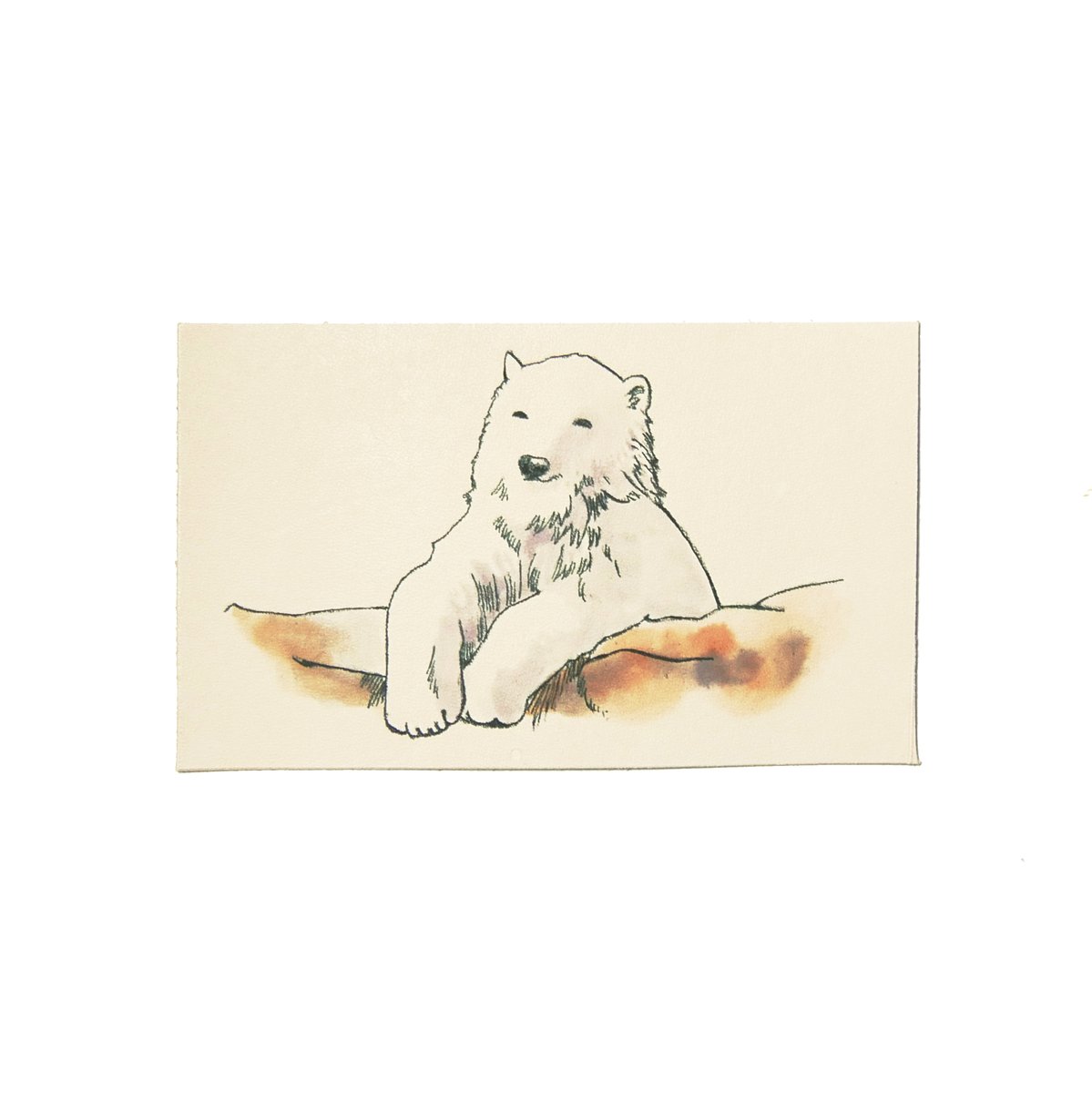 イラストレザーちょび 何の日イラスト 今日は 国際ホッキョクグマの日 Internationalpolarbearday です 地球温暖化の影響を受け北極の海氷は小さくなり そこで暮らす北極熊は棲み処や餌を失いつつあり 小型化も進んでしまっているそうです 実は毛は