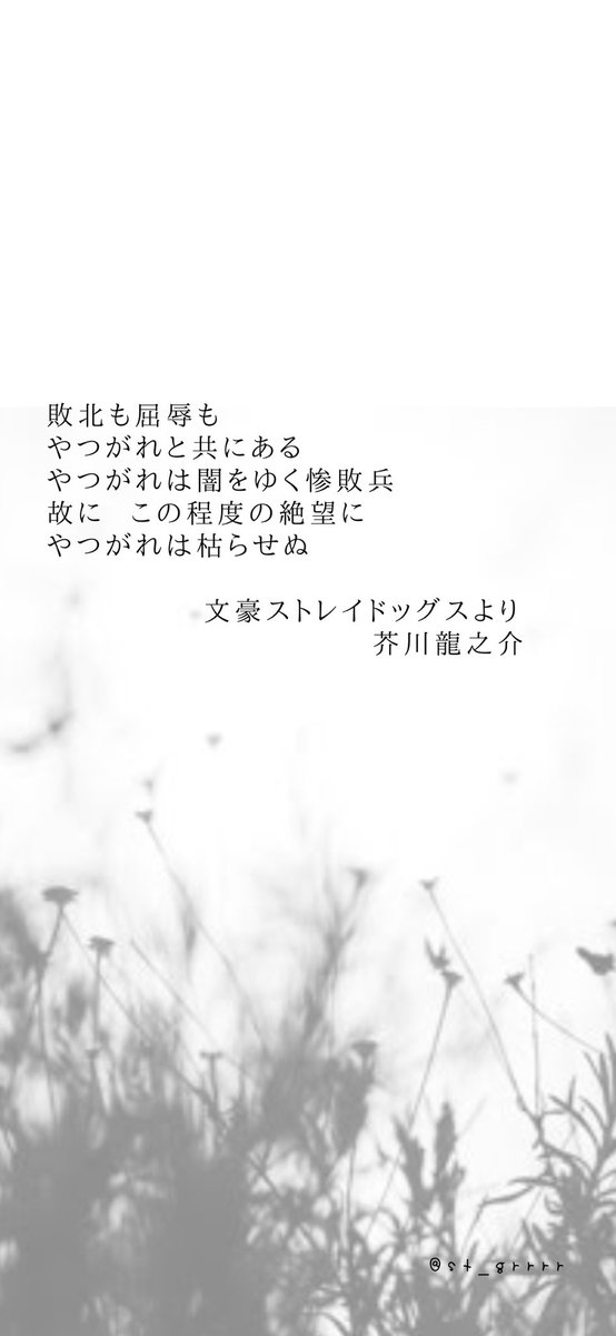 璃兎 リ ト 雑多垢 フリー壁紙です ご利用は常識の範囲でご自由にどうぞ 報告自由ですが リプ ファボして頂けたら嬉しいです 文豪ストレイドッグス 芥川龍之介の科白より 文豪ストレイドッグス 文スト 芥川龍之介 芥川 Iphone 壁紙 フリー素材 璃兎 リ ト 雑多垢 フリー壁紙です ご利用は常識の範囲でご自由にどうぞ 報告自由ですが リプ ファボして頂けたら嬉しいです 文豪ストレイドッグス 芥川龍之介の科白より 文豪ストレイドッグス 文スト 芥川龍之介 芥川 Iphone 壁紙 フリー素材