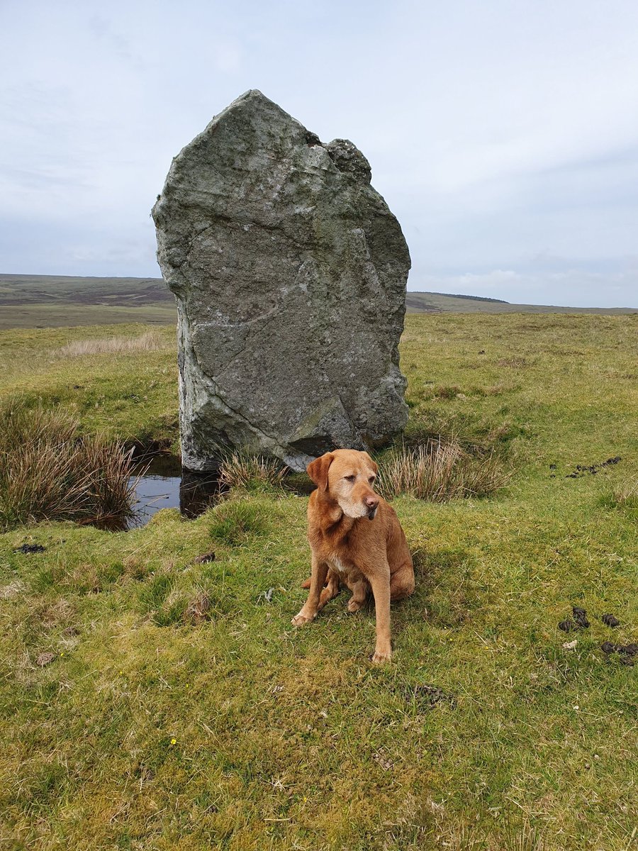 The beautiful Hebrides 
BirdMad.com 
<a href="/origin_scotland/">Origin of Scotland</a> <a href="/hiddenscotland/">Hidden Scotland</a> <a href="/RSPBNorthScot/">RSPB North Scotland</a> <a href="/portpics/">Photos from Scotland</a> <a href="/HebridesBirds/">Outer Hebrides Birds</a> <a href="/lovethehebrides/">Love the Hebrides</a> <a href="/OuterHebs/">Visit Outer Hebrides</a> <a href="/UistPhotography/">Uist Photography</a> <a href="/WildUist/">Wild Uist</a> <a href="/UistForest/">Uist Forest Retreat</a> <a href="/isleofsouthuist/">Isle of South Uist</a>