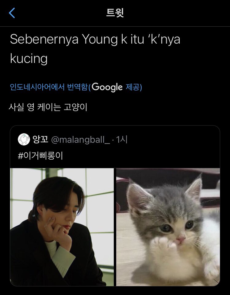 너무 귀여운 트윗을 봄.. 🥺
한국식으로 번역하면 Young K의 'K'는 'K'oyangee(고양이)의 'K'